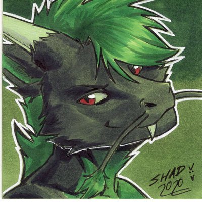 Techwolf12