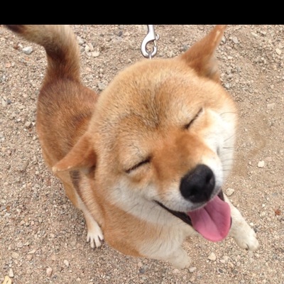 paqico@mastodon.cloud