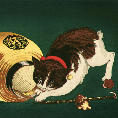 felis_catus_domesticus@mastodon.cloud