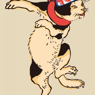 felis_catus_domesticus@mastodon.cloud