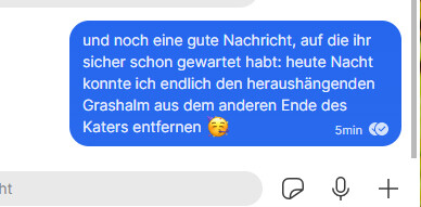 Chat
"und noch eine gute Nachricht, auf die ihr sicher schon gewartet habt: heute Nacht konnte ich endlich den heraushängenden Grashalm aus dem anderen Ende des Katers entfernen 🥳"