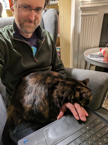 A black cat drapes herself over a hand resting on a laptop, preventing work for the middle aged bearded man who has taken this selfie