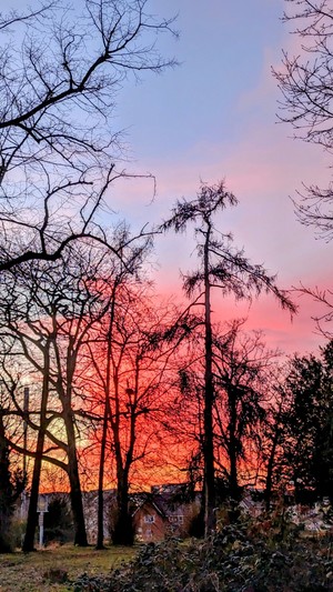 Red sky at night
