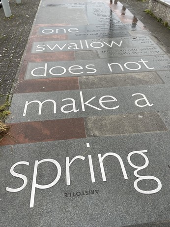 Pavement art:
One swallow does not make a spring.