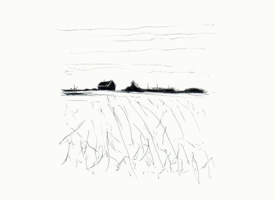 Kugelschreiber Skizze Schwarzweiss
Landschaftsbild mit Feld, Hecke, Haus und Himmel.