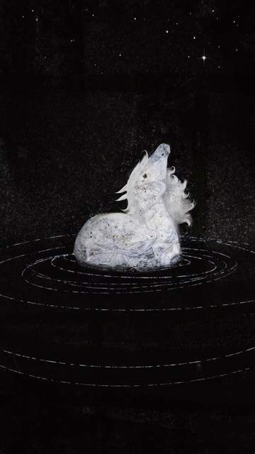 In die Form des zertretenen Taschentuchs wurde ein im schwarzen Wasser stehendes weißes Pferd gezeichnet, das nach oben in die sternenbehangene Finsternis schaut