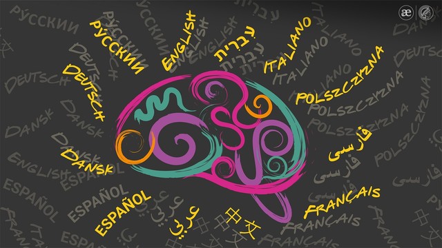 Colourful silhouette of a brain with words in different languages