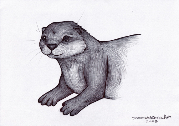 Black and white ballpoint pen drawing of an otter
