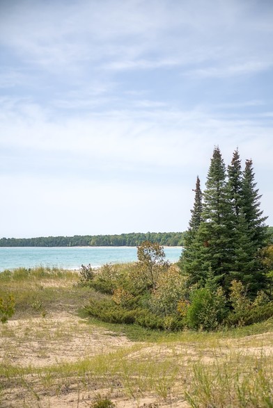 Green trees on a sandy beach near the waters of Lake Michigan.