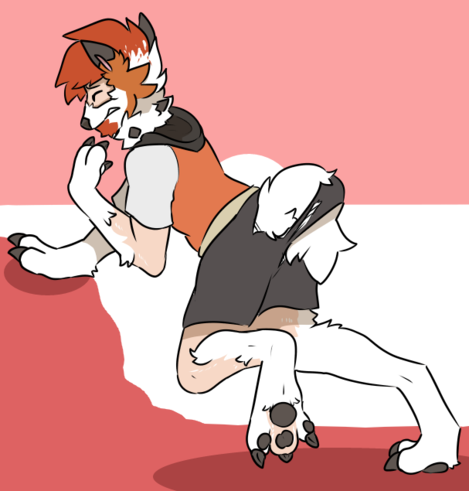 Lycanroc TF