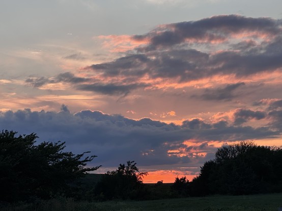 A vivid sunset sky with layers of dark and light clouds glowing in shades of pink, orange, and purple. The sun is just below the horizon, casting a warm glow across the landscape. Silhouetted trees and a grassy field are visible in the foreground, creating a peaceful rural scene.