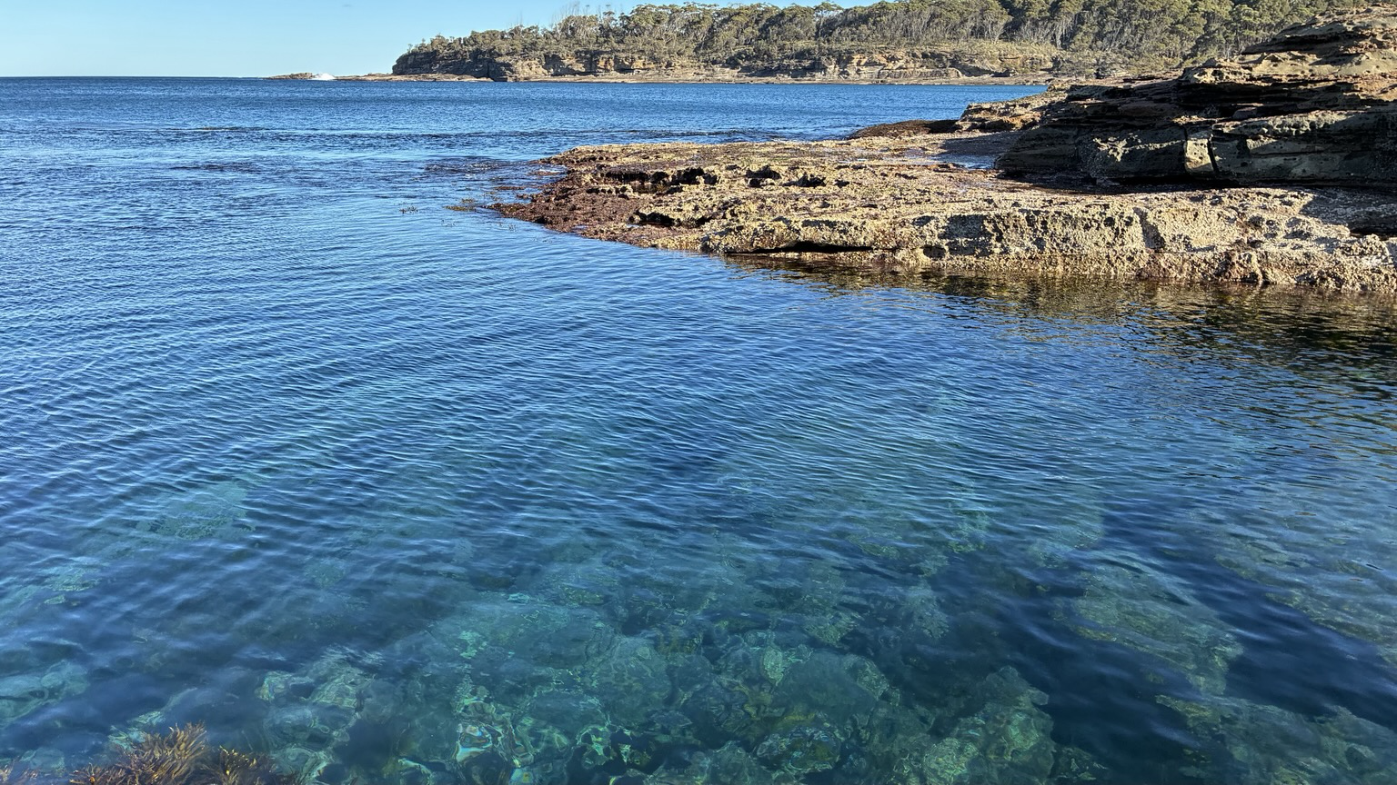 Clear blue green water with rocks and seaweed and a headland in the distance